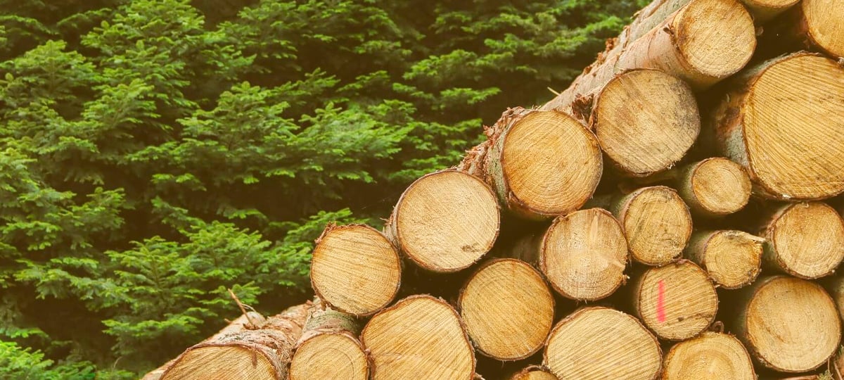 Improve Your Logging Process with Fluentd, Elasticsearch, and Kibana
