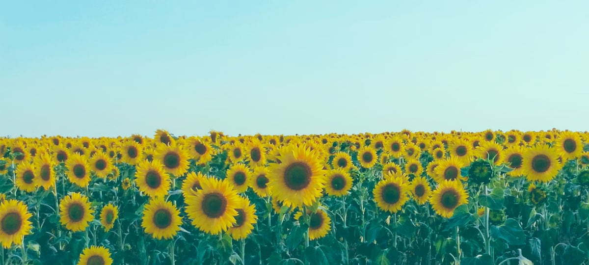 How to Stay Cheerful in Difficult Times