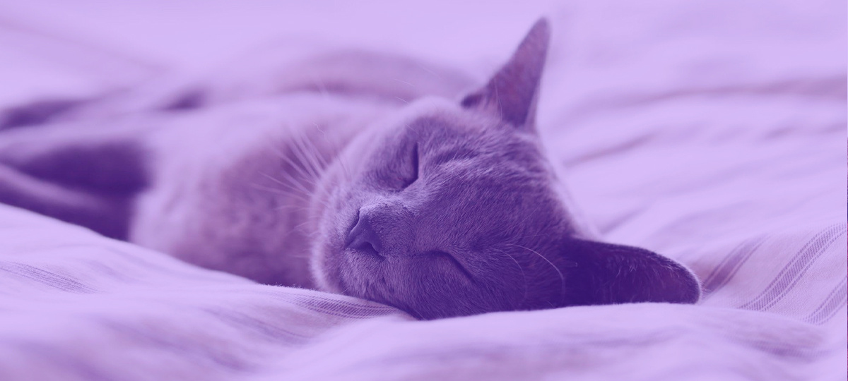 Sleep is a Superpower that Developers Cannot Afford to Neglect